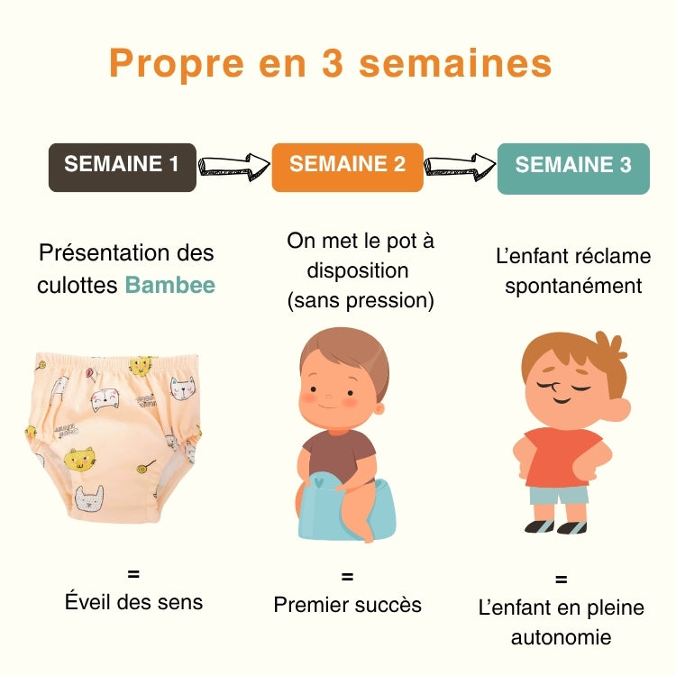 Culottes d'apprentissage