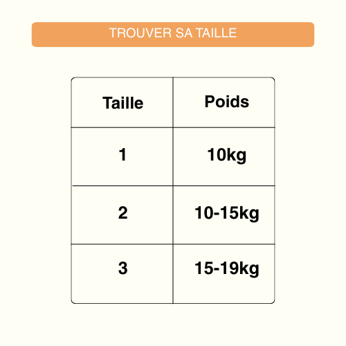 Culottes d'apprentissage